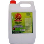 V2 Antiseptic Disinfectant Versa 5 Liters