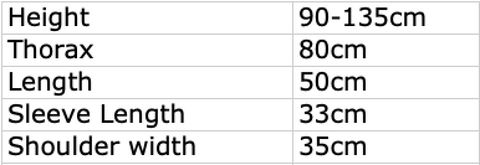 Boy Pilot Kids Costume Kit 1