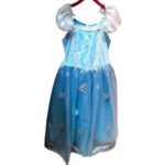 Frozen Elsa Princess Costume Dress Blue