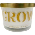 Hero Jar Candle Iconic Design Peony and Amber Scent
