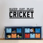Eat Sleep Ply Cricket Wall Sticker Black 70x30cm