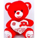 Valentine's Red Bear With Heart - 35CM TS302