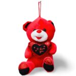 Valentine's Red Bear With Black Heart - 20CM TS387