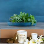 Sacred Basil Organic Vegan Non-Toxic Pet-friendly Soy Scented Candle