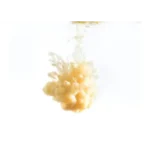 Smoked Butter Scotch Organic Vegan Non-Toxic Pet-friendly Soy Candle