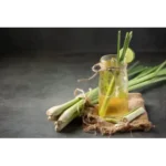 Luminous Citronella Organic Vegan Non-Toxic Pet-friendly Soy Candle